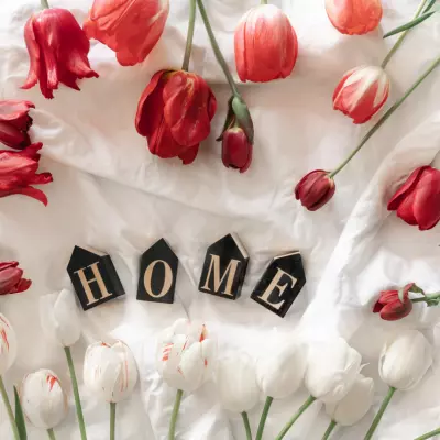 O Massam - Massage à domicile